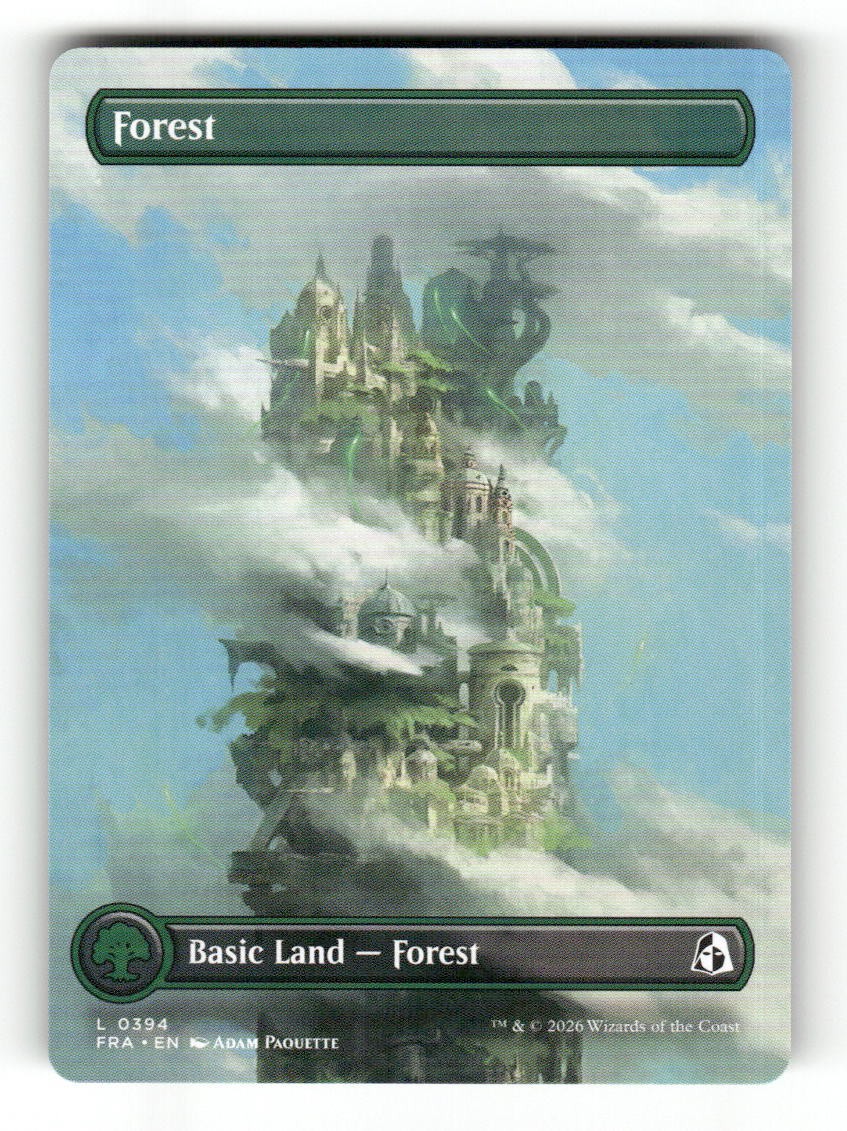 Forest (Borderless) (0394)