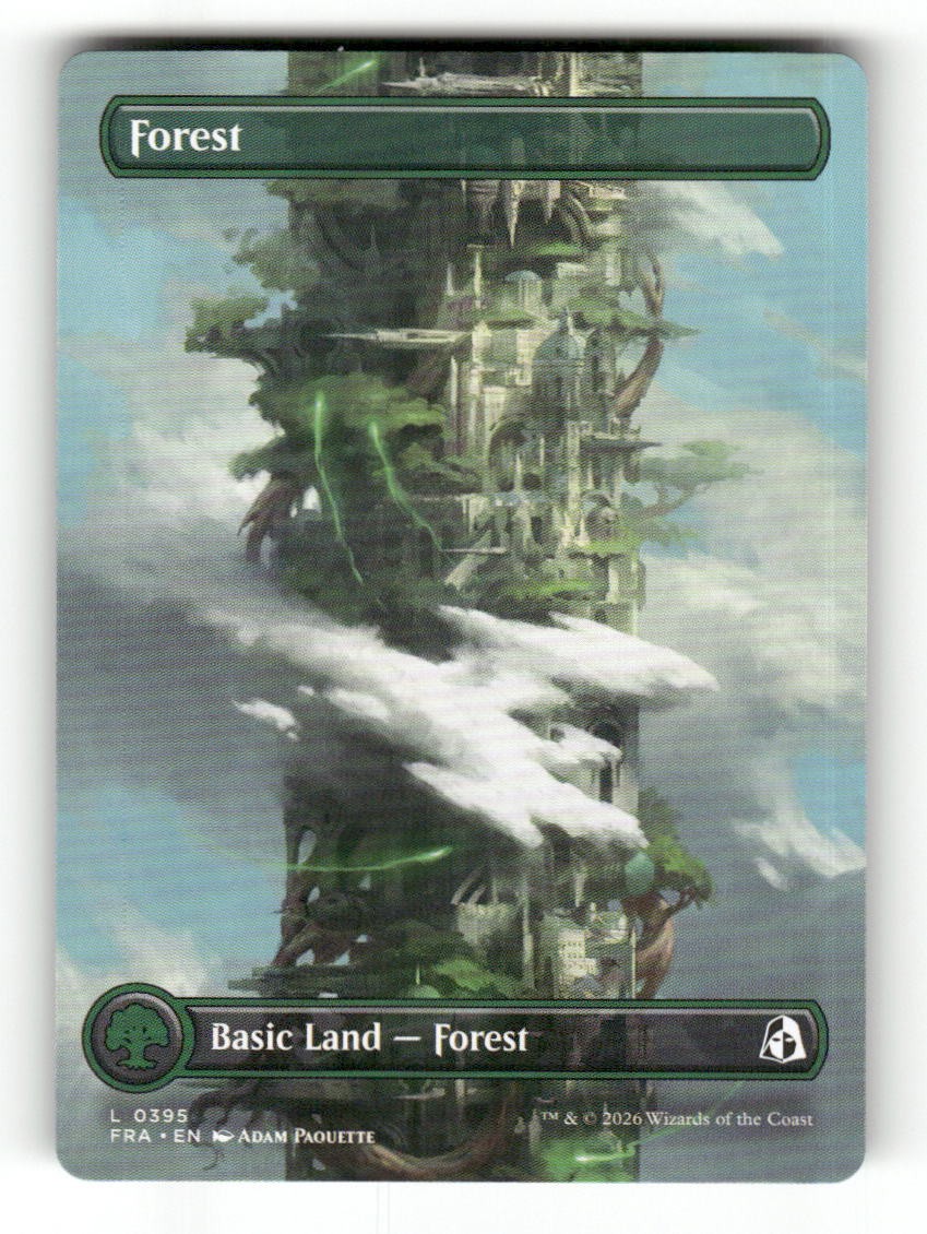 Forest (Borderless) (0395)