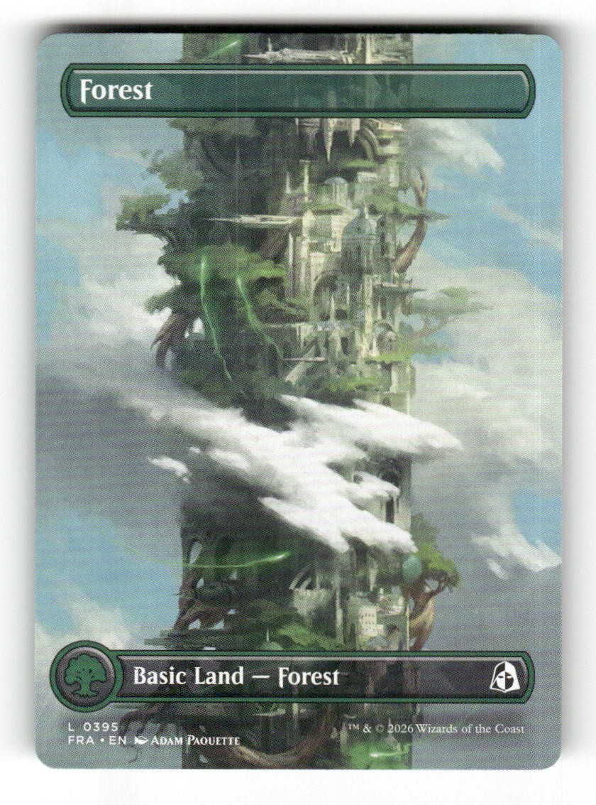 Forest (Borderless) (0395)