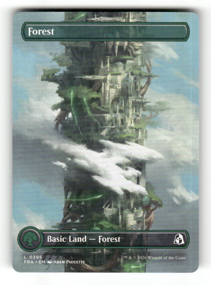 Forest (Borderless) (0395)