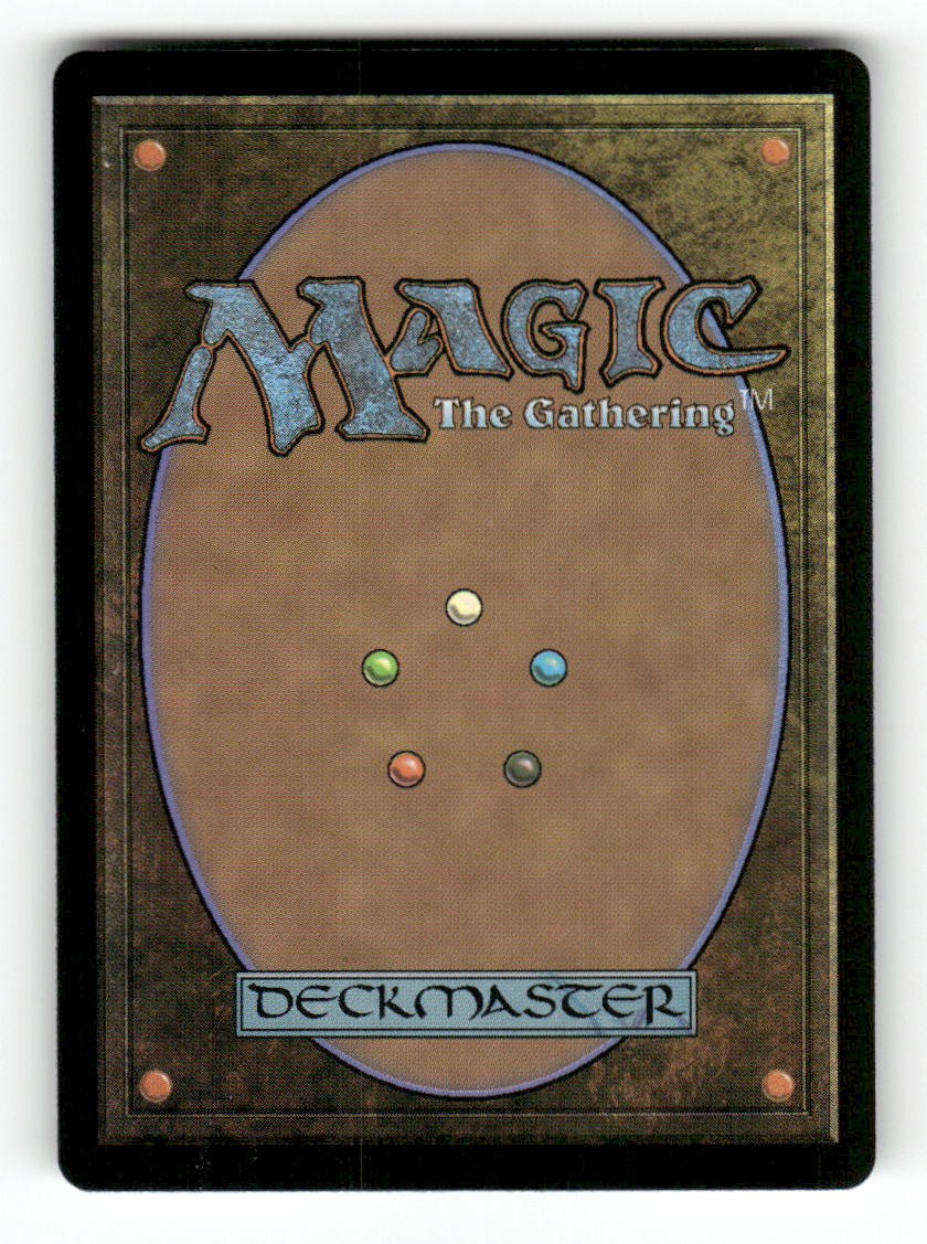 Forest (Borderless) (0395) (Back)