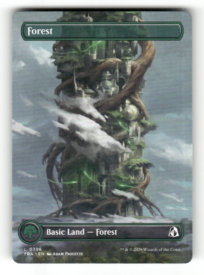 Forest (Borderless) (0396)