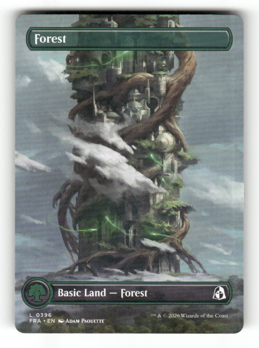 Forest (Borderless) (0396)