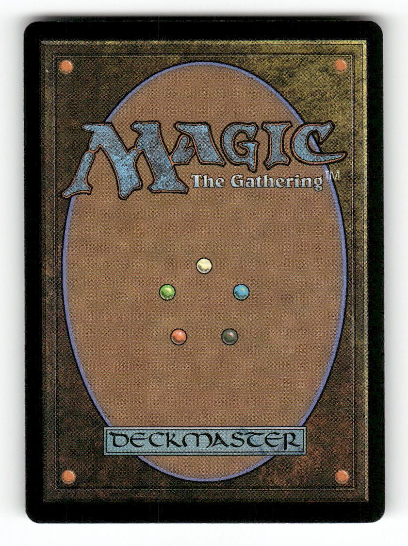Forest (Borderless) (0396) (Back)