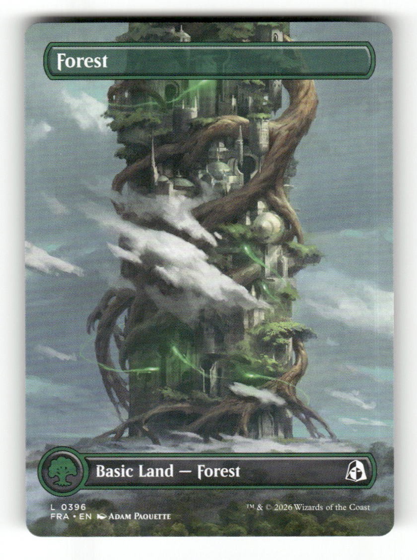 Forest (Borderless) (0396)