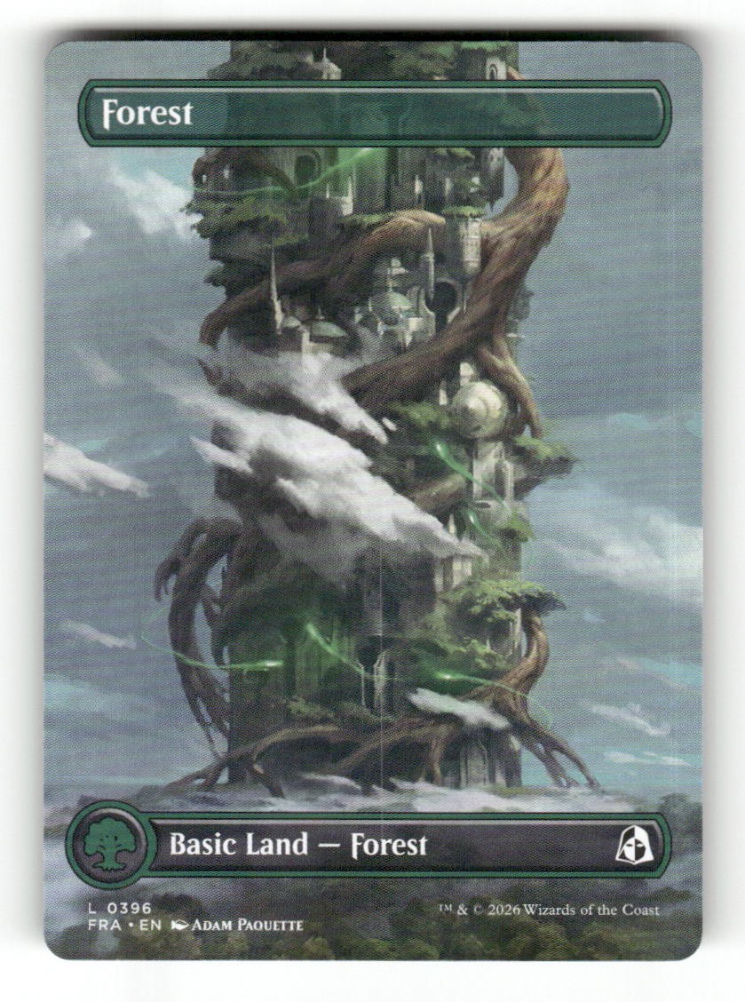 Forest (Borderless) (0396)