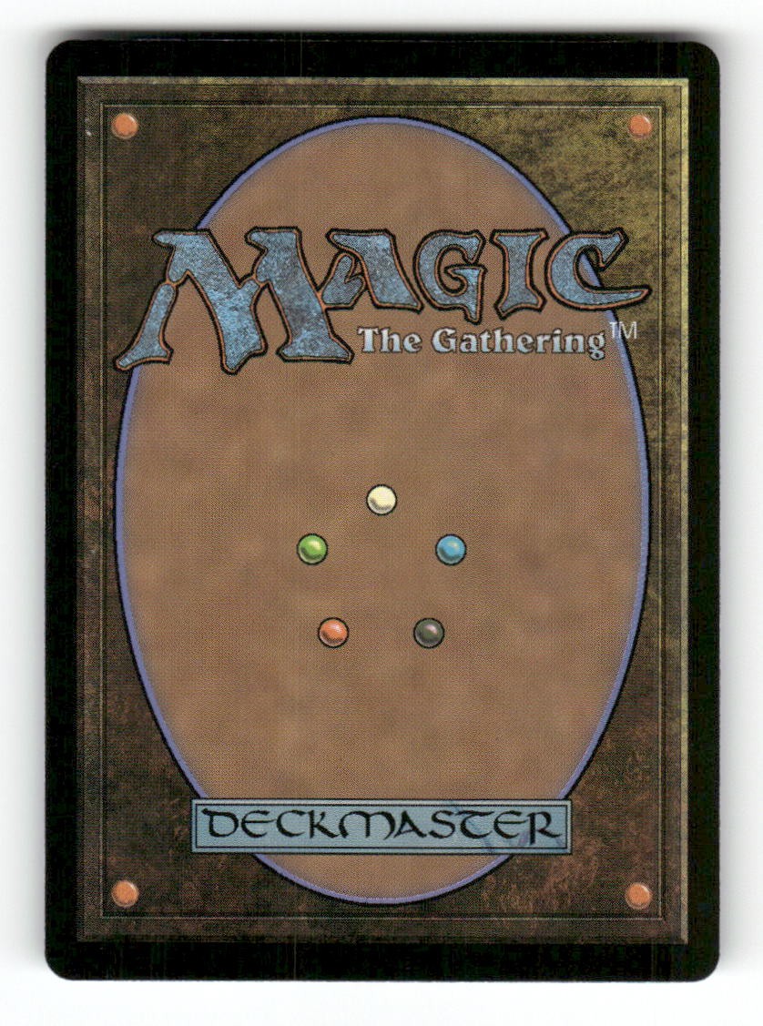 Swamp (Borderless) (0388) (Back)
