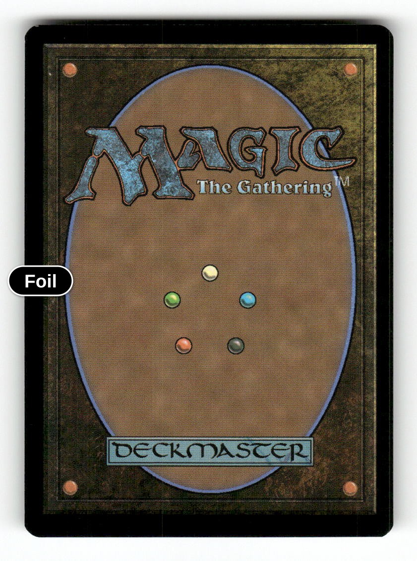 Memory Trap (Back)
