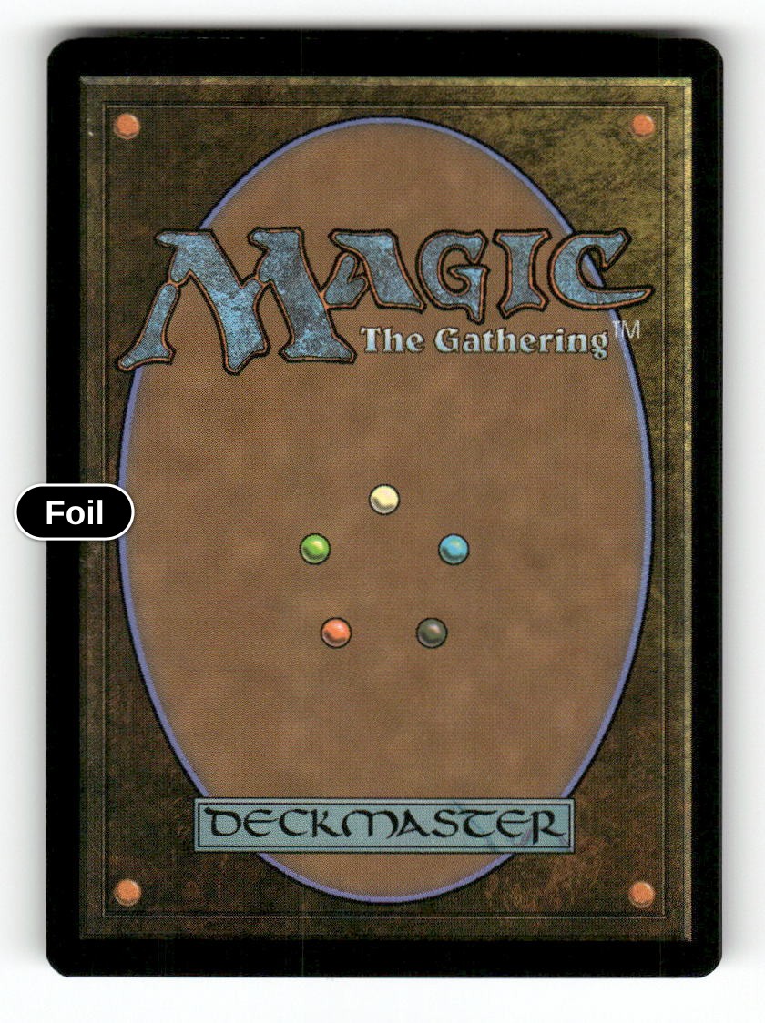Memory Trap (Back)