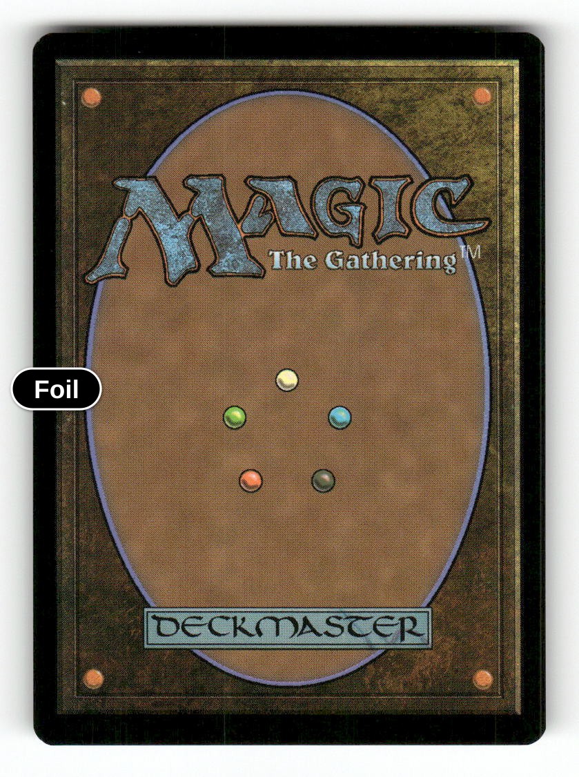 Memory Trap (Back)
