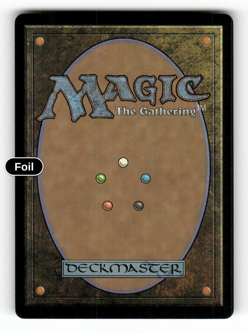 Memory Trap (Back)
