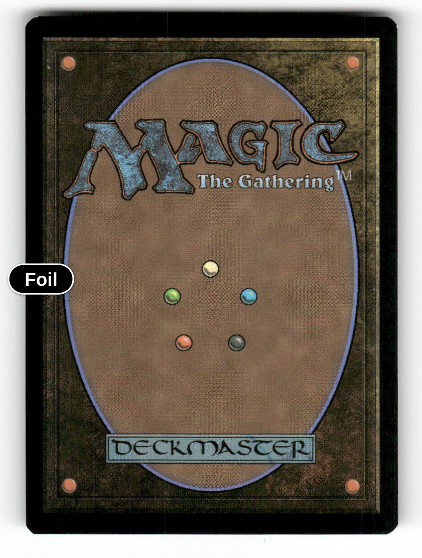 Splinter Twin (Borderless) (Back)