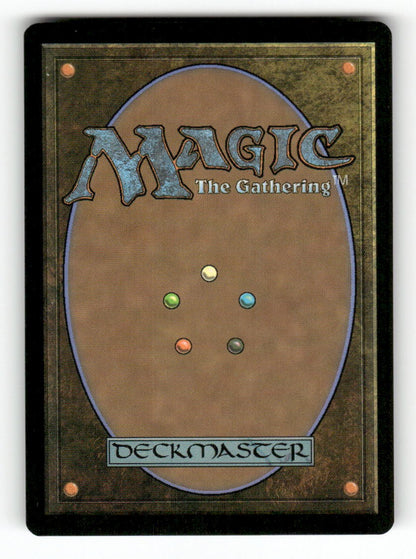 Warrior's Blades (Back)
