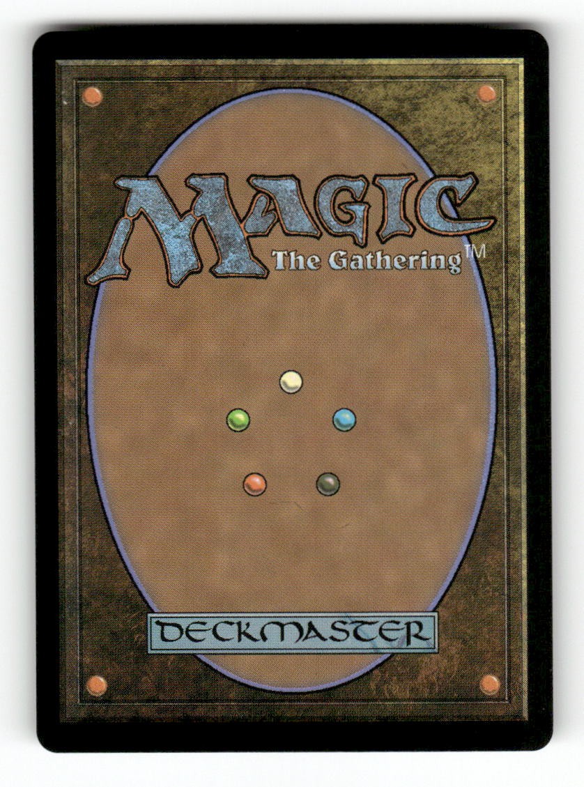 Warrior's Blades (Back)