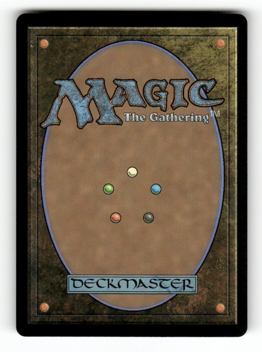Warrior's Blades (Back)