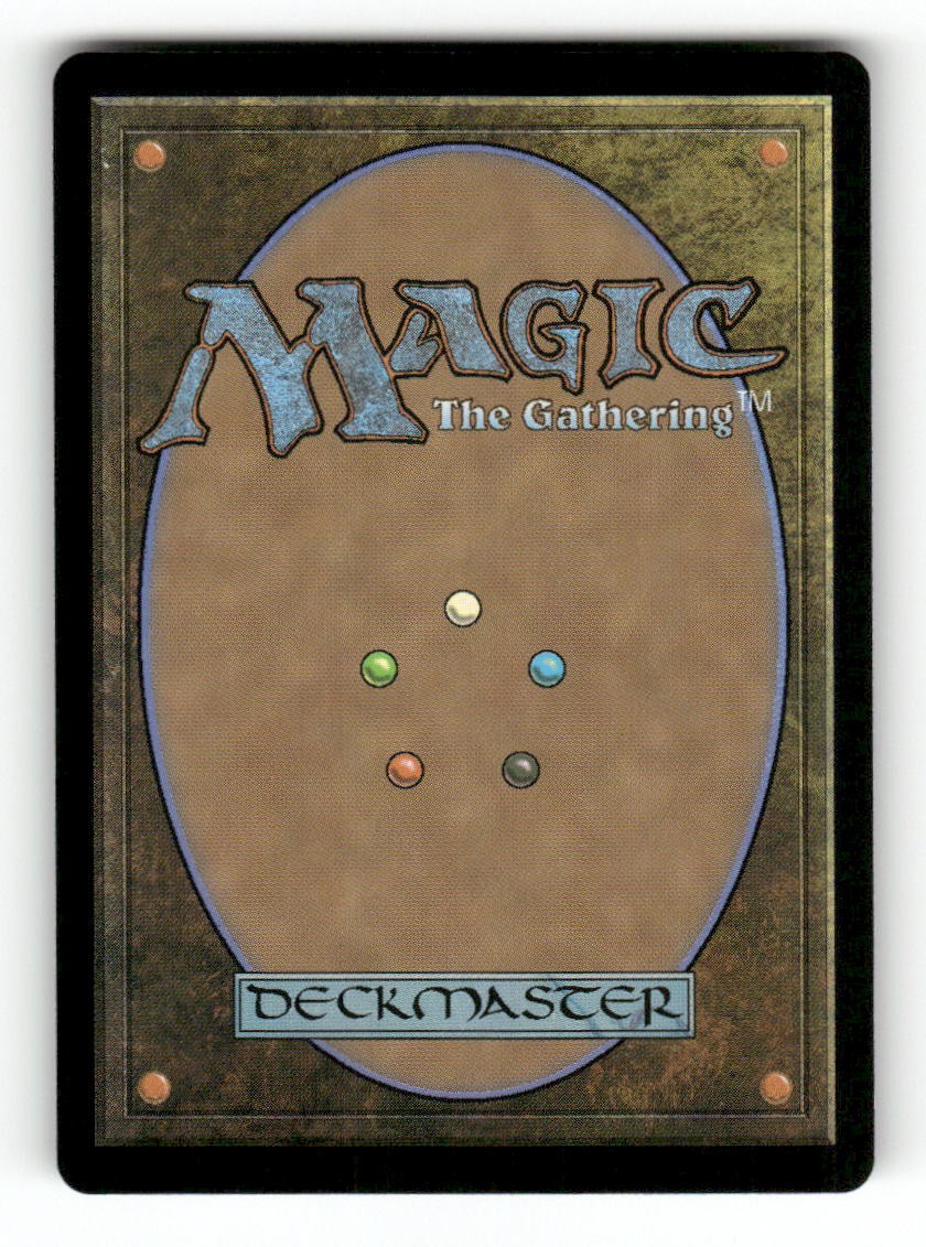 Sphinx of False Conclusions (Back)