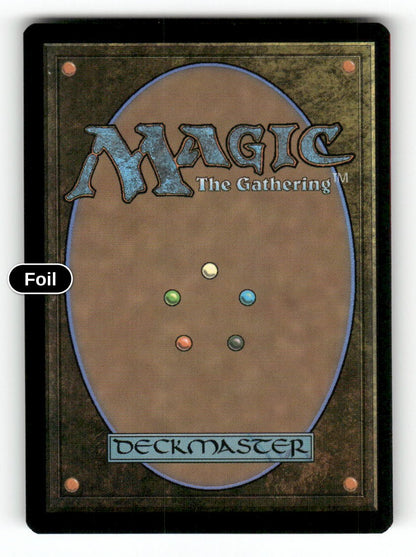 Silence the Echo (Back)