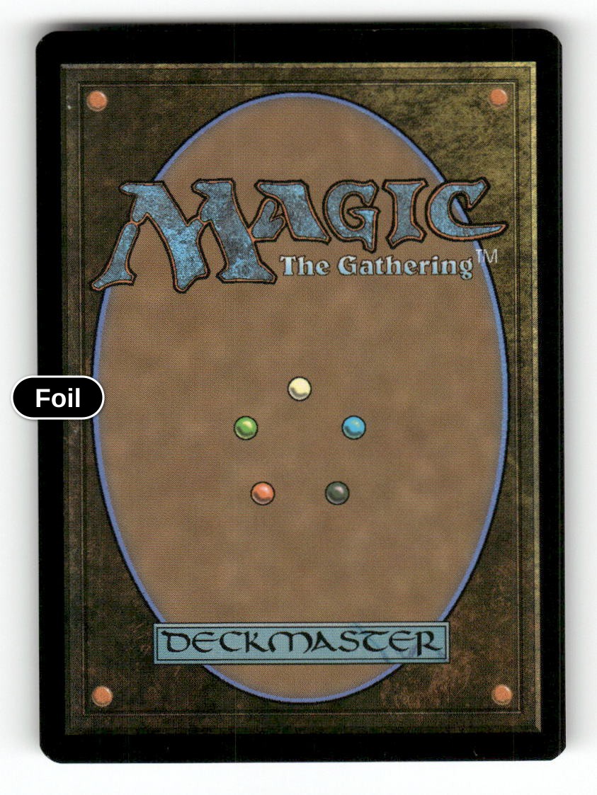 Murmuring Volume (Back)