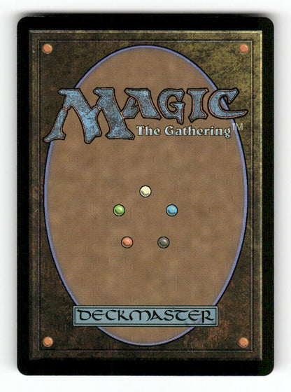 Teyo, Lightshield Expert (Back)