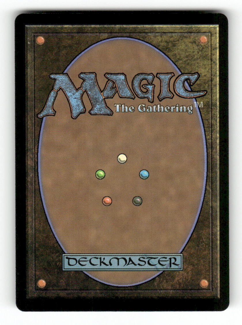 Teyo, Lightshield Expert (Back)