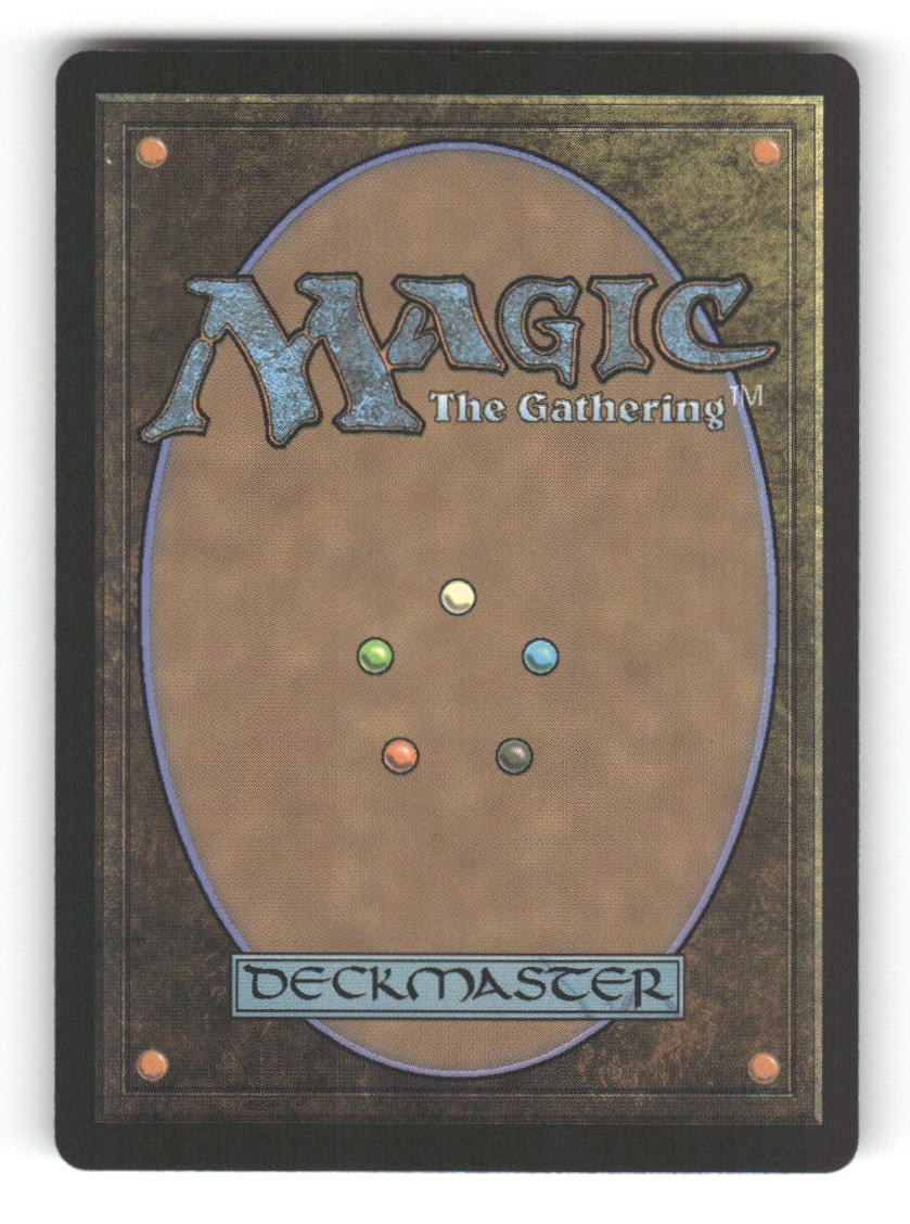 Twinned Vision (Back)