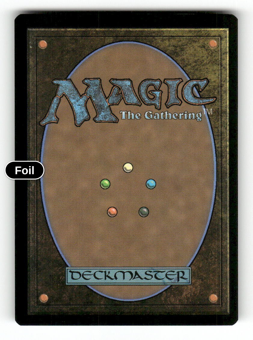 Theoretical Necromancer (Back)
