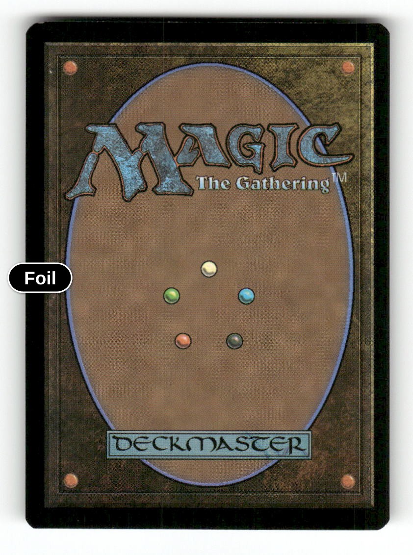 Theoretical Necromancer (Back)
