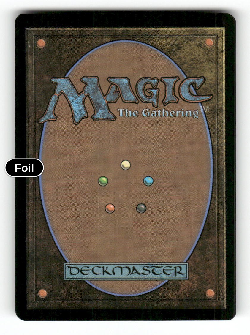 Hall of Echoes (Borderless) (Back)