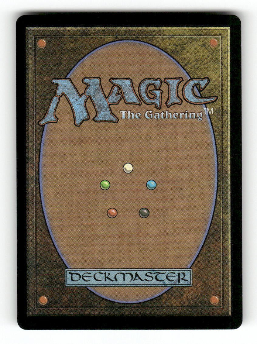 Tam, the Possibility (Back)