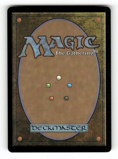 Tam, the Possibility (Back)